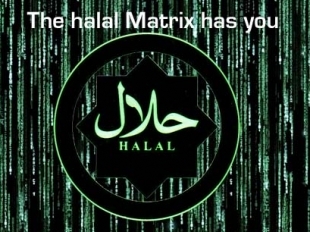 The Halal Matrix